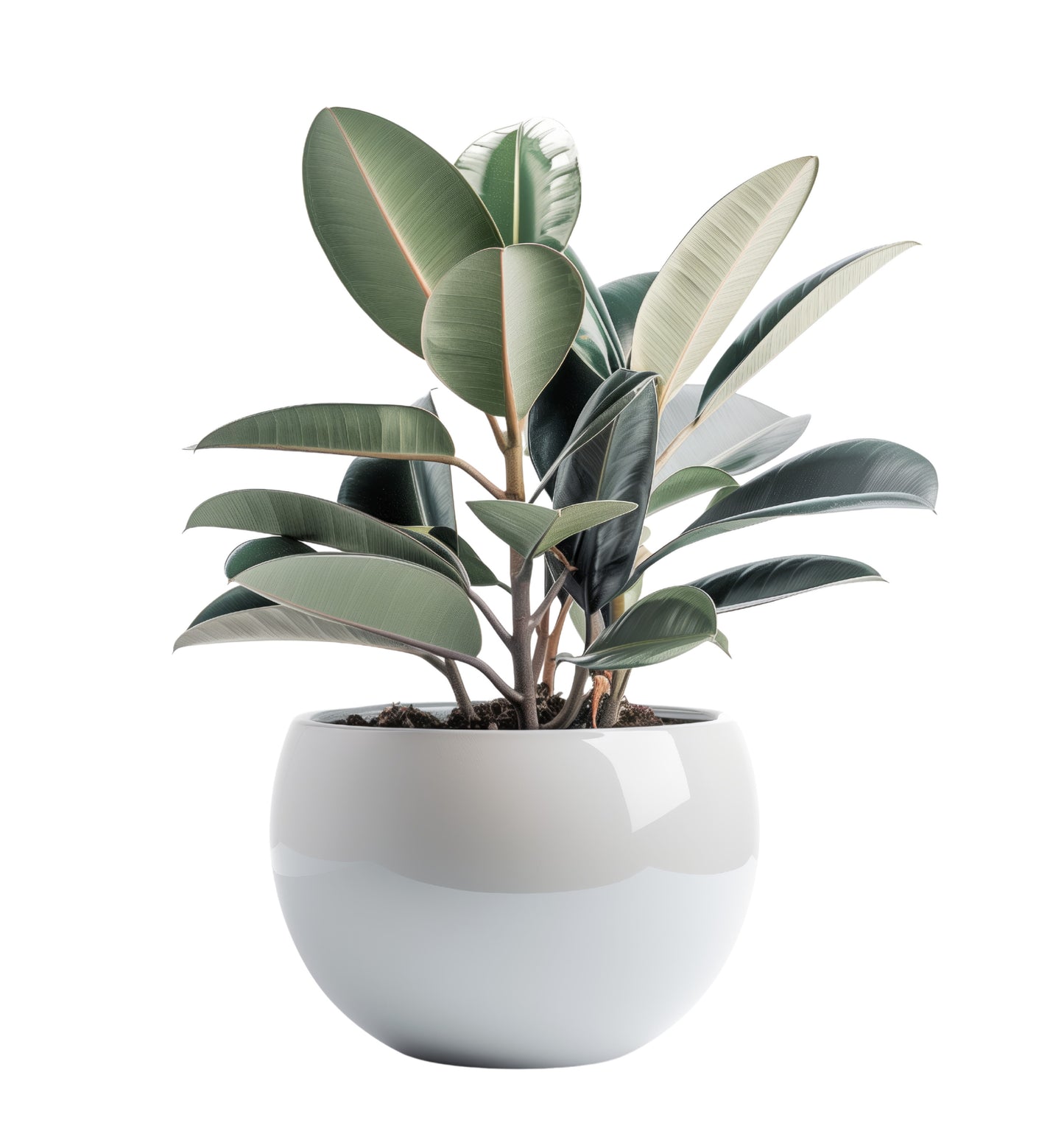 Cavio Gloss Concrete planter