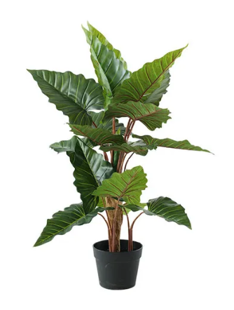 Artificial Plants